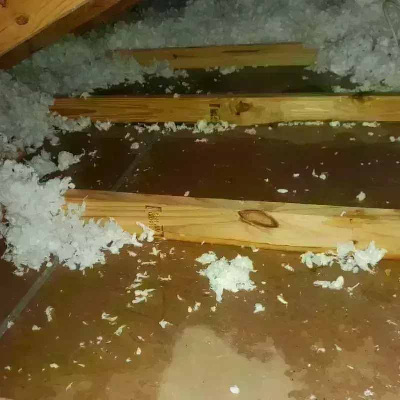 Attic Water Damage in Ettrick, VA